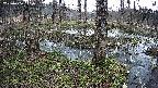 mizubasho3-20250406141040.jpg