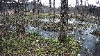mizubasho3-20250406145044.jpg
