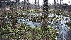 mizubasho3-20250407135042.jpg
