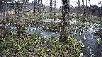 mizubasho3-20250408120040.jpg