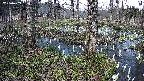 mizubasho3-20250409150040.jpg