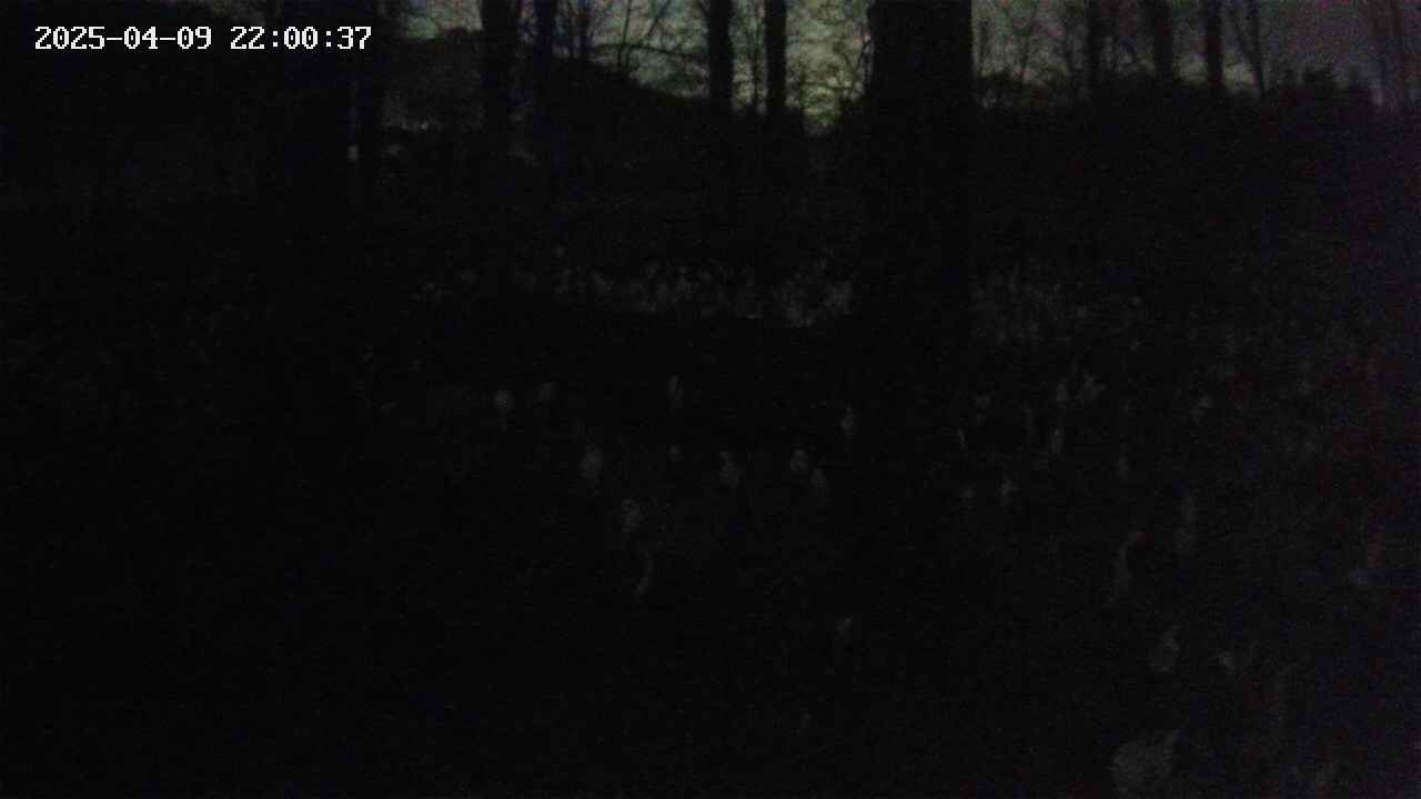 mizubasho3-20250409220038.jpg