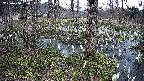 mizubasho3-20250410150042.jpg