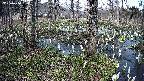 mizubasho3-20250410152041.jpg