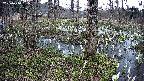 mizubasho3-20250410155042.jpg