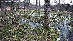 mizubasho3-20250410170042.jpg