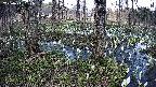 mizubasho3-20250411151040.jpg