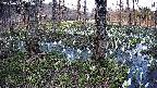 mizubasho3-20250411165040.jpg