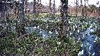 mizubasho3-20250411170040.jpg
