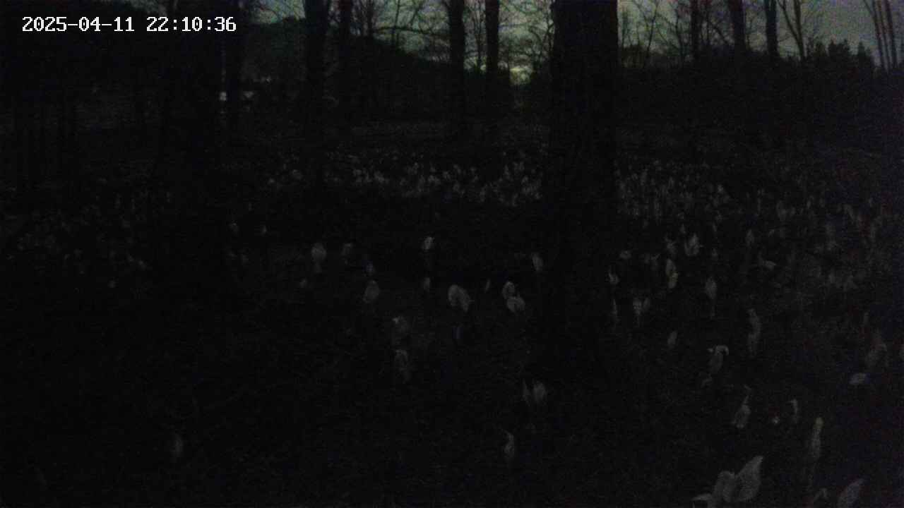 mizubasho3-20250411221036.jpg