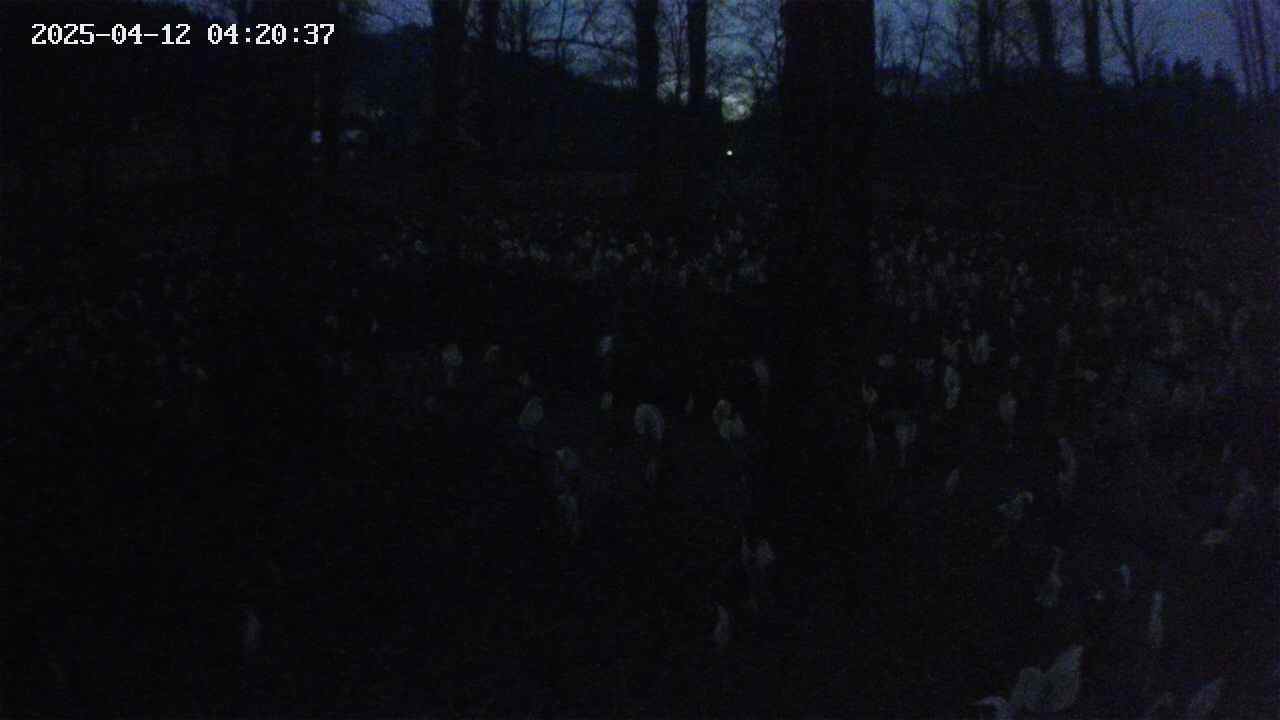 mizubasho3-20250412042038.jpg