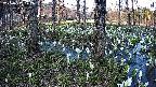 mizubasho3-20250412172041.jpg