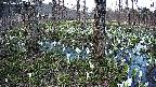 mizubasho3-20250412175041.jpg