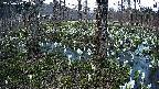 mizubasho3-20250412182040.jpg