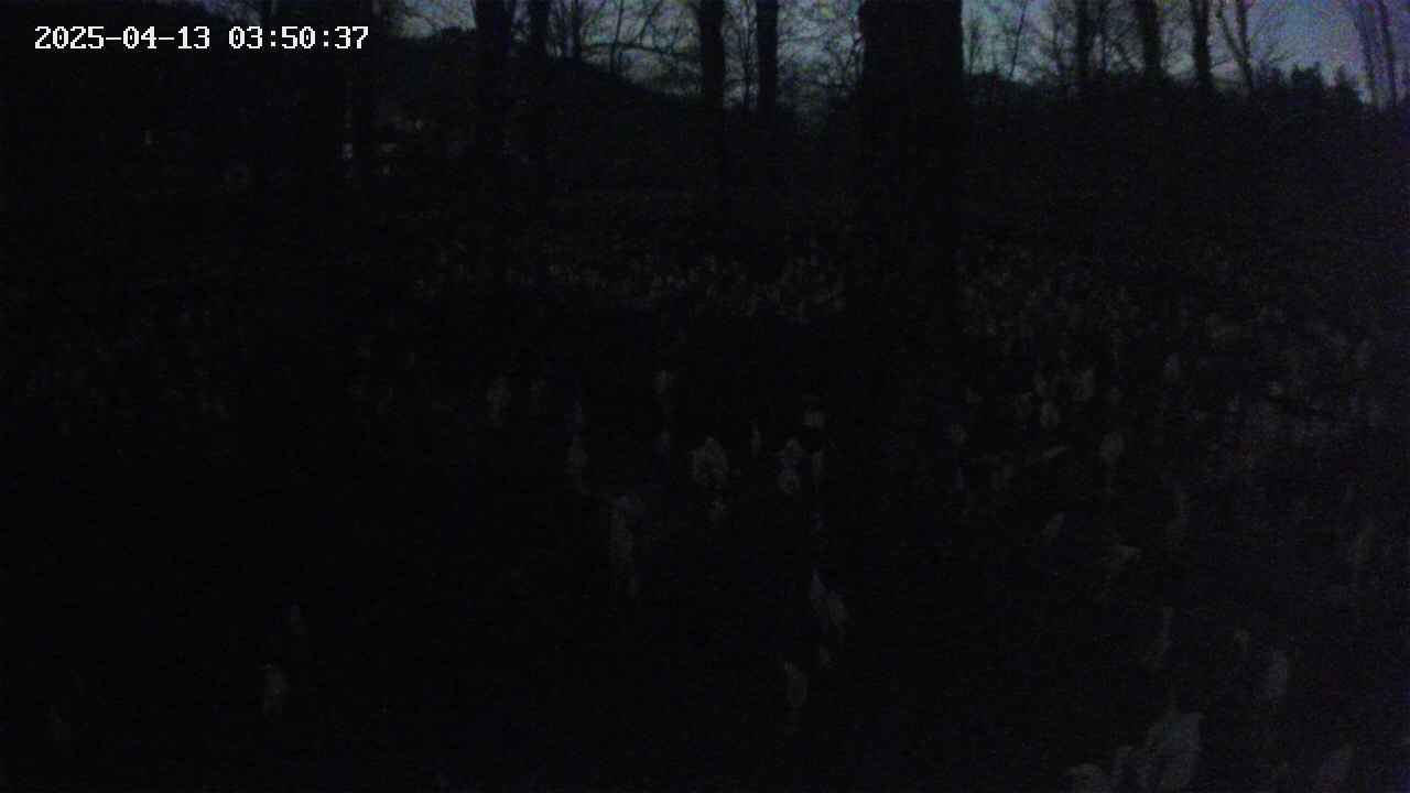 mizubasho3-20250413035039.jpg