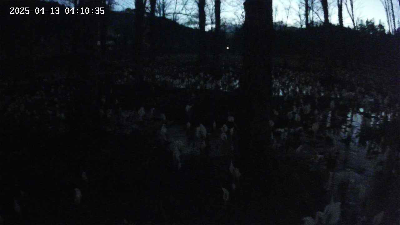mizubasho3-20250413041037.jpg