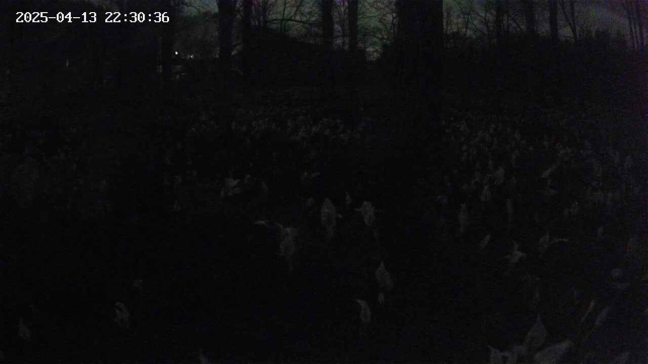 mizubasho3-20250413223037.jpg
