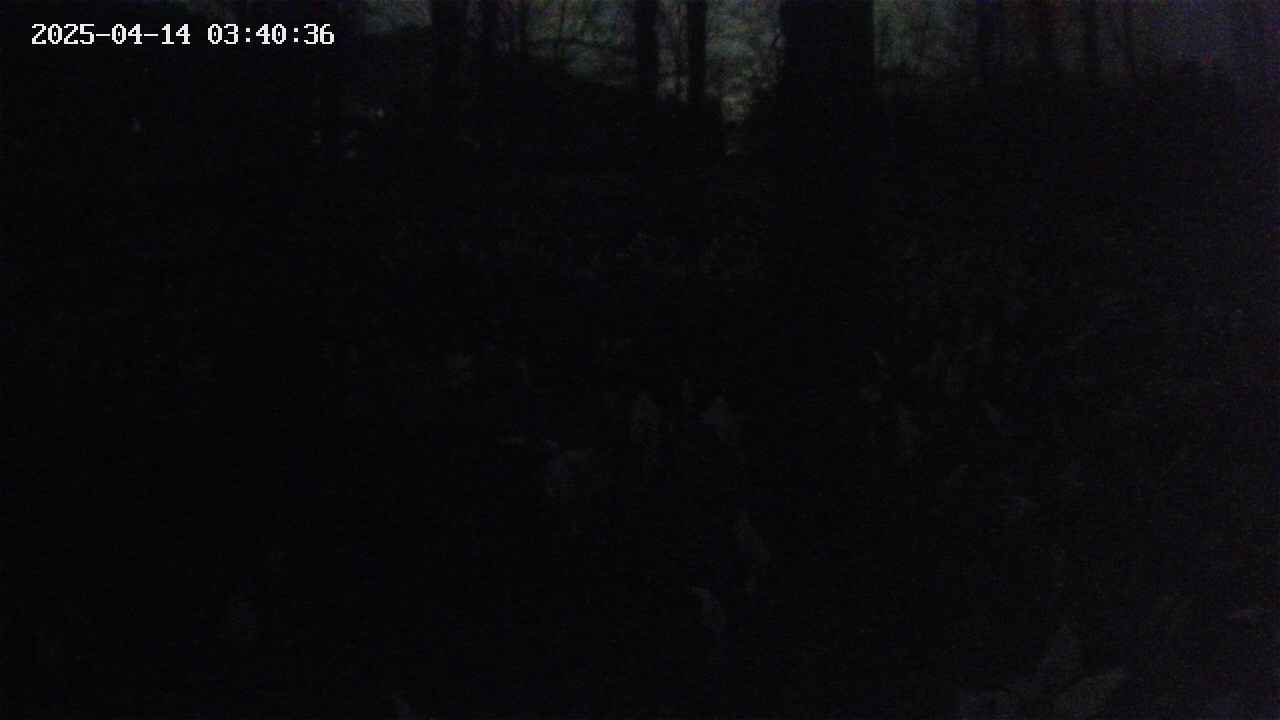 mizubasho3-20250414034037.jpg