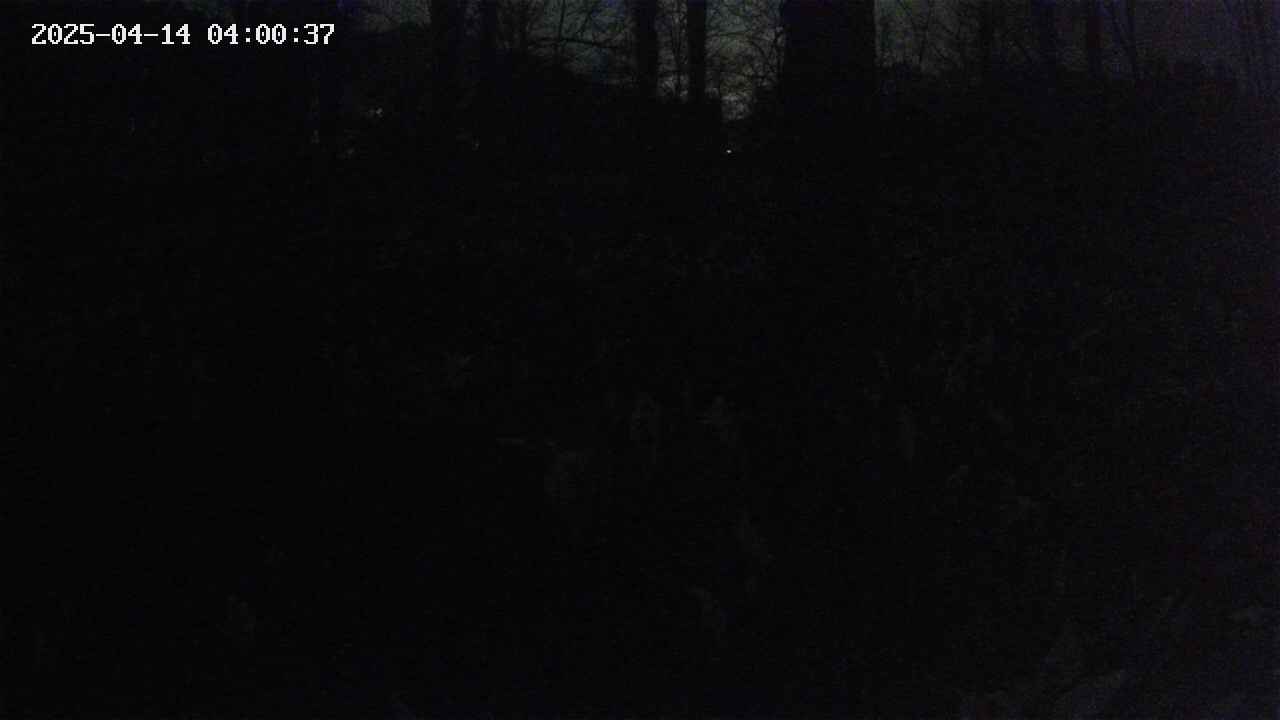 mizubasho3-20250414040038.jpg
