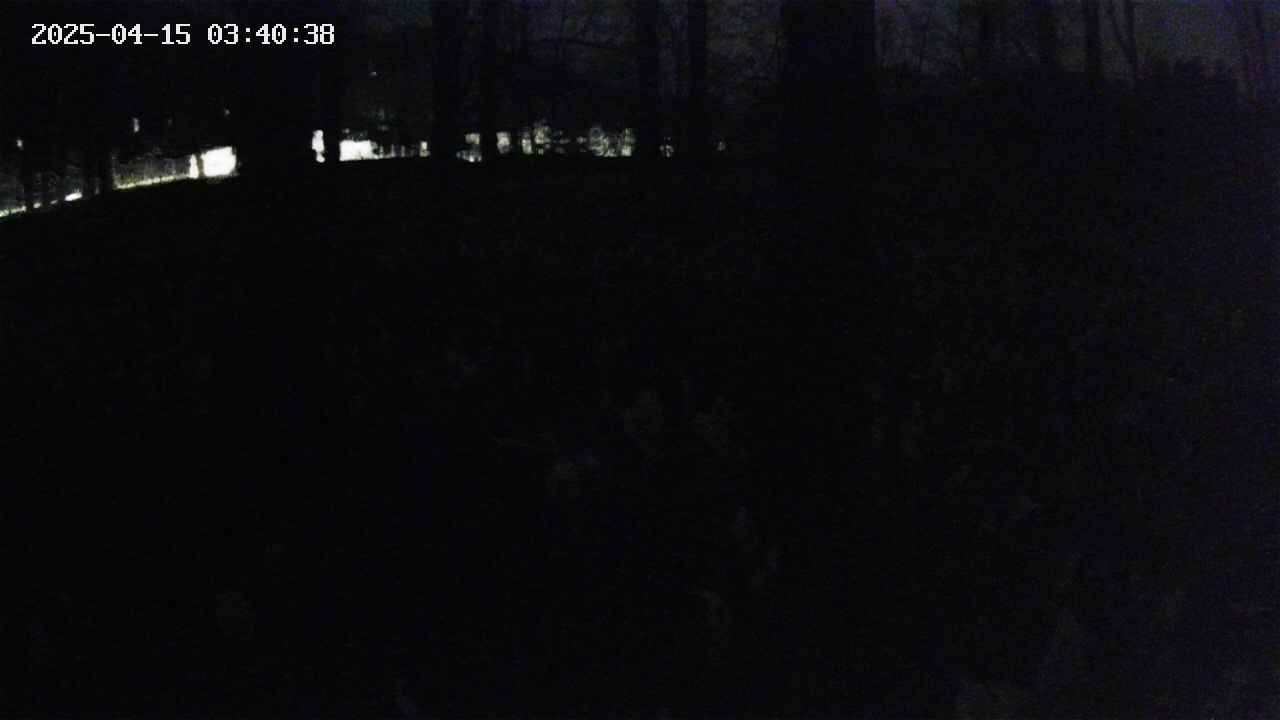 mizubasho3-20250415034039.jpg