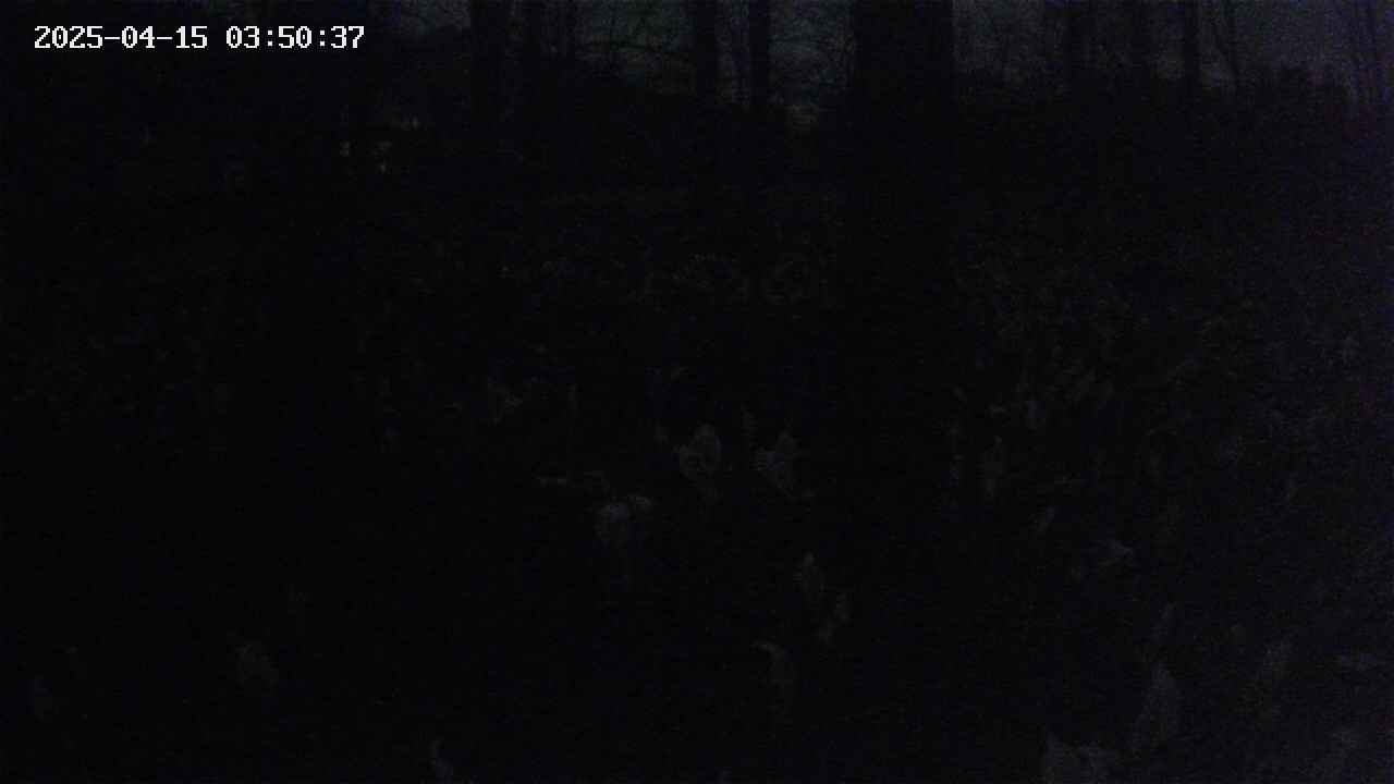 mizubasho3-20250415035038.jpg