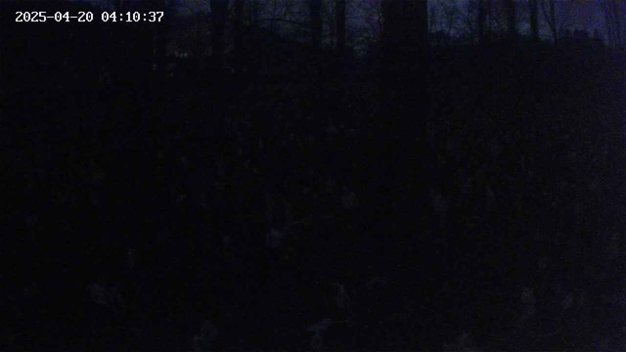 mizubasho3-20250420041038.jpg