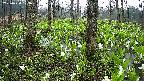 mizubasho3-20250420073037.jpg