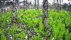 mizubasho3-20250428130040.jpg