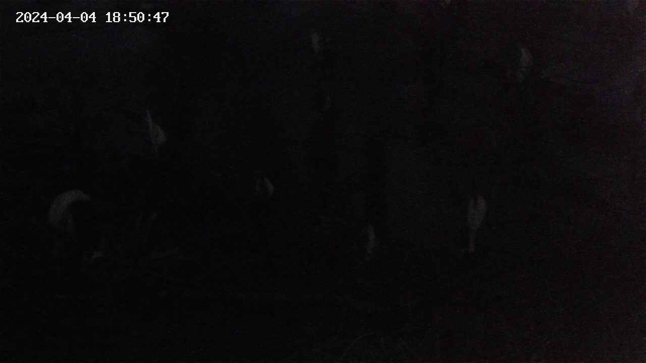 mizubasho4-20240404185049.jpg