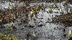 mizubasho4-20250403091052.jpg