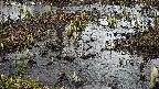 mizubasho4-20250403093056.jpg