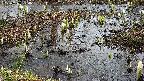 mizubasho4-20250403104101.jpg