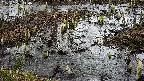 mizubasho4-20250403110054.jpg