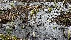 mizubasho4-20250403114051.jpg