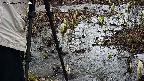 mizubasho4-20250403120057.jpg