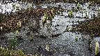 mizubasho4-20250403134100.jpg