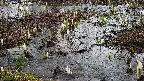 mizubasho4-20250403144055.jpg