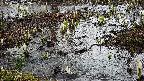 mizubasho4-20250403152055.jpg