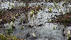 mizubasho4-20250403160055.jpg