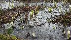 mizubasho4-20250403163055.jpg