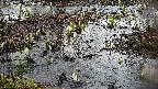 mizubasho4-20250403165056.jpg