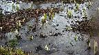 mizubasho4-20250403174055.jpg