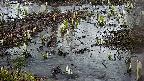 mizubasho4-20250403175055.jpg