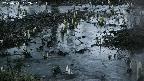 mizubasho4-20250403182051.jpg