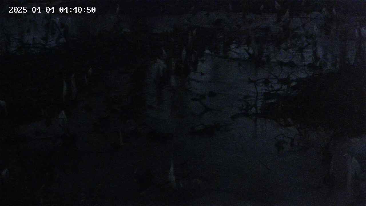 mizubasho4-20250404044051.jpg