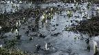 mizubasho4-20250404050053.jpg