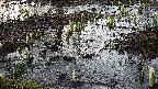 mizubasho4-20250404060057.jpg