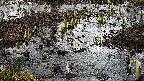 mizubasho4-20250404083055.jpg