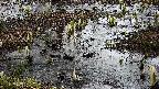 mizubasho4-20250404091055.jpg
