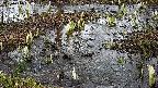mizubasho4-20250404140057.jpg